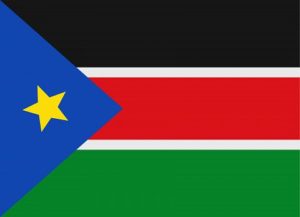 South Sudanese flag.